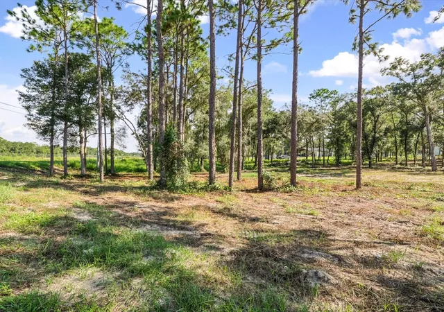 Photo 2 of Land for sale at 15504 Lenway Rd, Spring Hill, FL 34610 | MLS# W7889840 | Listing updated on 2026-09-26