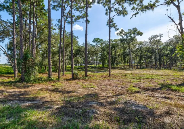 Photo 3 of Land for sale at 15504 Lenway Rd, Spring Hill, FL 34610 | MLS# W7889840 | Listing updated on 2026-09-26
