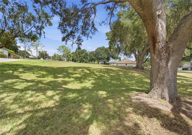 Photo 3 of Land for sale at Tbd Griffin Landing, Lady Lake, FL 32159 | MLS# G5118273 | Listing updated on 2026-09-27