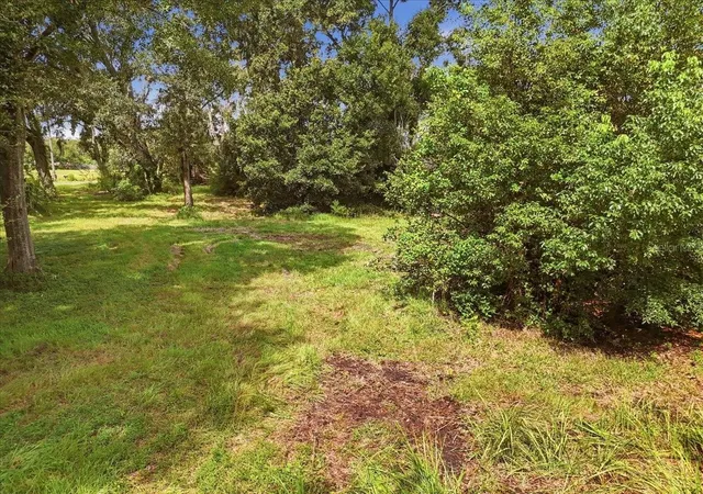 Photo 2 of Land for sale at 2929 Al Simmons Rd, Dover, FL 33527 | MLS# L4965361 | Listing updated on 2026-10-02