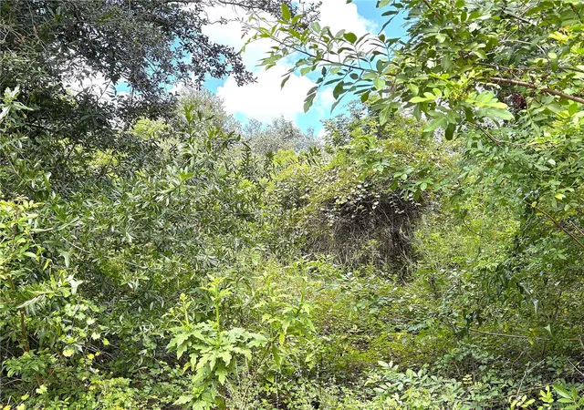 Photo 2 of Land for sale at 13276 Johannes Ave, Port Charlotte, FL 33953 | MLS# C7531233 | Listing updated on 2026-09-26