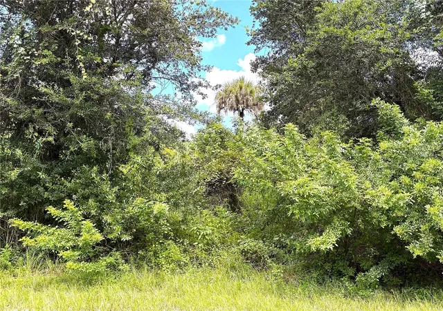 Photo 3 of Land for sale at 13276 Johannes Ave, Port Charlotte, FL 33953 | MLS# C7531233 | Listing updated on 2026-09-26