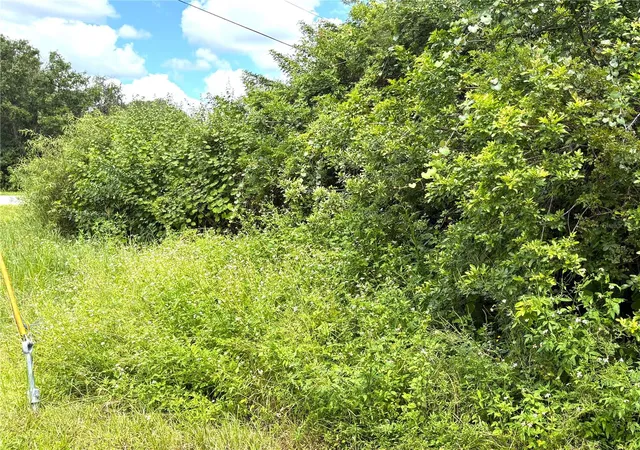 Photo 4 of Land for sale at 13276 Johannes Ave, Port Charlotte, FL 33953 | MLS# C7531233 | Listing updated on 2026-09-26