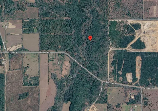 Photo 1 of Land for sale at 33 4n 20 29000 002 0110, Defuniak Springs, FL 32433 | MLS# S5158330 | Listing updated on 2026-09-29