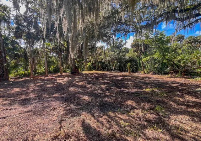 Photo 3 of Land for sale at 320 Ingham Rd, New Smyrna Beach, FL 32168 | MLS# NS1089352 | Listing updated on 2026-09-26