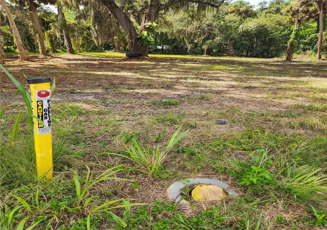 Photo 4 of Land for sale at 320 Ingham Rd, New Smyrna Beach, FL 32168 | MLS# NS1089352 | Listing updated on 2026-09-26