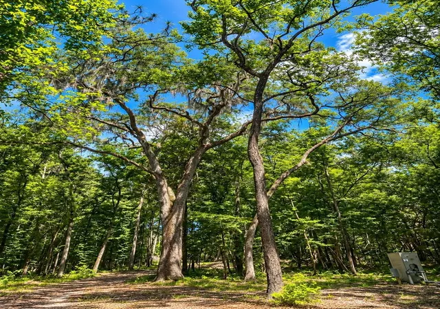 Land for sale at Snow Memorial, BROOKSVILLE, FL 34601 | MLS# W7889854