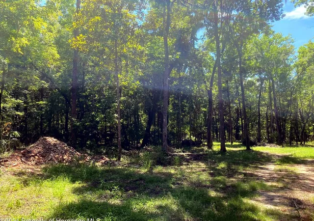 Photo 4 of Land for sale at Snow Memorial, Brooksville, FL 34601 | MLS# W7889854 | Listing updated on 2026-10-07
