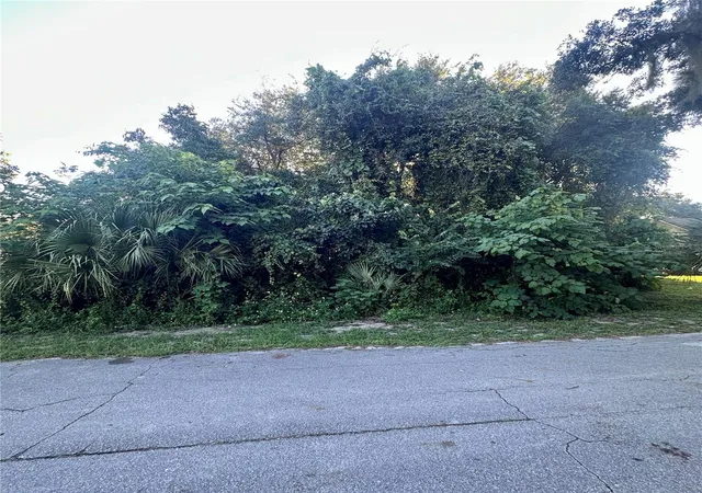 Photo 2 of Land for sale at 0 Oak St, Oak Hill, FL 32759 | MLS# NS1089355 | Listing updated on 2026-09-26