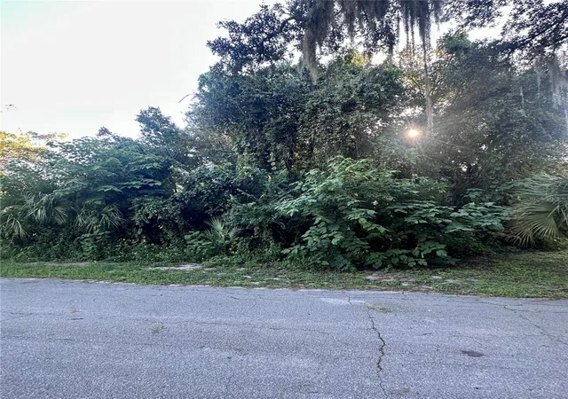 Photo 3 of Land for sale at 0 Oak St, Oak Hill, FL 32759 | MLS# NS1089355 | Listing updated on 2026-09-26