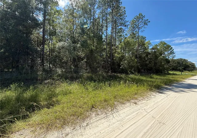 Photo 3 of Sale Pending at Tbd Sw 53rd Street, Dunnellon, FL 34432 | MLS# OM732926 | Listing updated on 2026-09-29