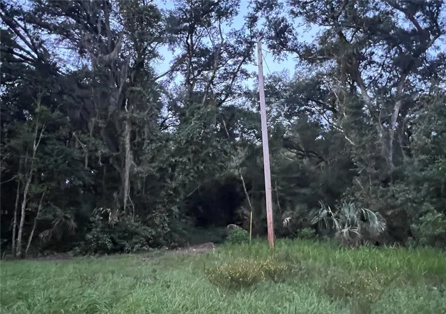 Photo 2 of Land for sale at 112 & 114 Grv Dr, Crescent City, FL 32112 | MLS# TB8552470 | Listing updated on 2026-10-07