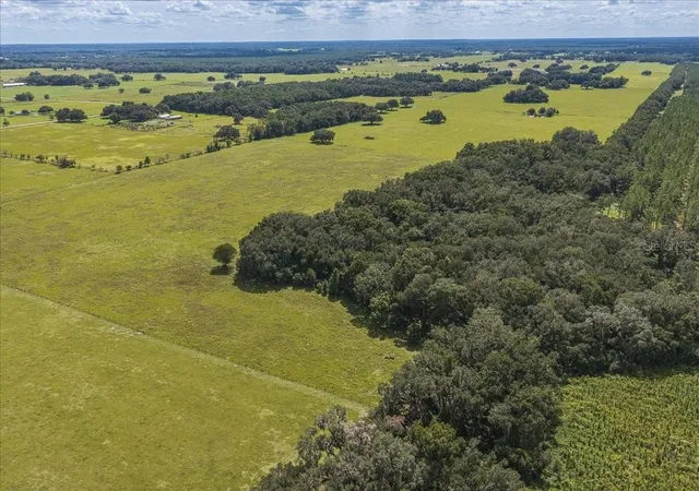 Photo 1 of Land for sale at SE 215th Avenue, Morriston, FL 32668 | MLS# OM732936 | Listing updated on 2026-10-03