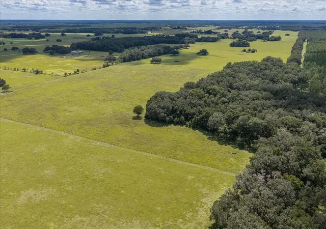 Photo 2 of Land for sale at SE 215th Avenue, Morriston, FL 32668 | MLS# OM732936 | Listing updated on 2026-10-03