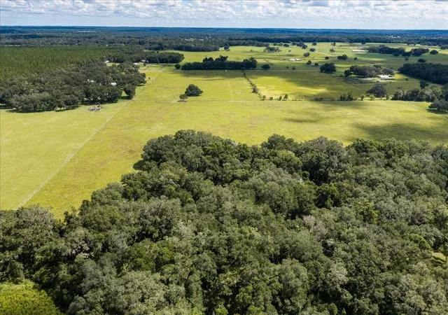 Photo 3 of Land for sale at SE 215th Avenue, Morriston, FL 32668 | MLS# OM732936 | Listing updated on 2026-10-03