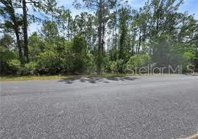 Land for sale at W Bluebell Ave, EUSTIS, FL 32736 | MLS# O6445084