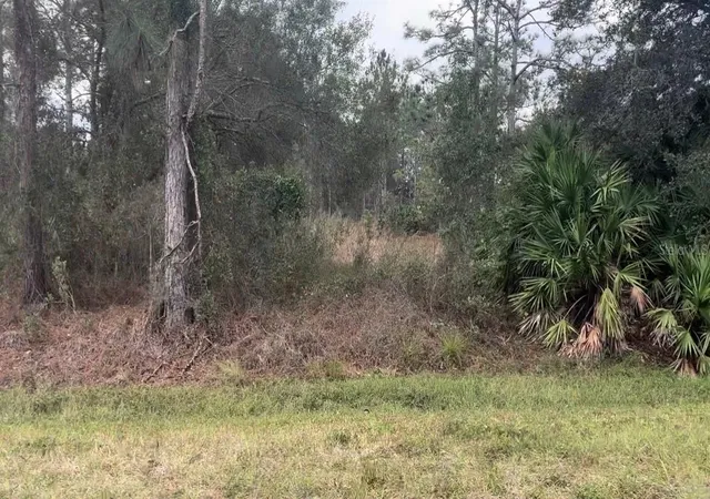 Photo 2 of Land for sale at Somerset St, Orlando, FL 32833 | MLS# O6445150 | Listing updated on 2026-09-27