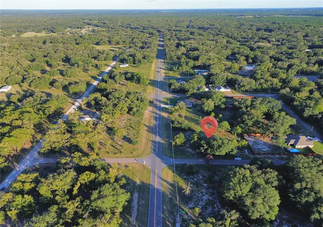 Photo 3 of Land for sale at Tbd SE 113th Street Rd, Ocklawaha, FL 32179 | MLS# OM732954 | Listing updated on 2026-09-27