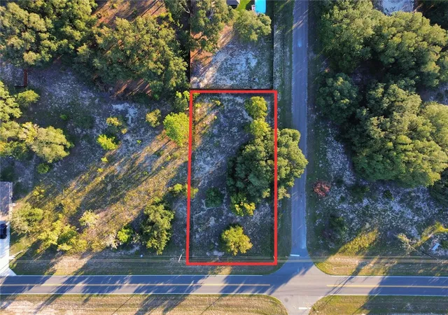 Photo 2 of Land for sale at Tbd SE 113th Street Rd, Ocklawaha, FL 32179 | MLS# OM732954 | Listing updated on 2026-09-27