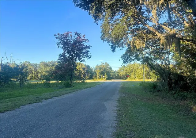 Photo 4 of Land for sale at Tbd SE 113th Street Rd, Ocklawaha, FL 32179 | MLS# OM732954 | Listing updated on 2026-09-27