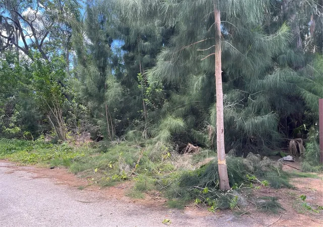 Photo 2 of Land for sale at Legion Dr, Tarpon Springs, FL 34689 | MLS# W7889871 | Listing updated on 2026-09-28