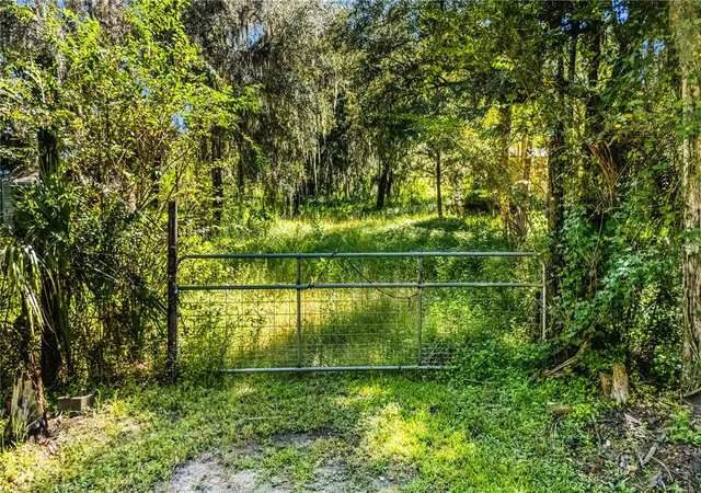 Photo 2 of Land for sale at 1707 Kimmie Kay Drive, Geneva, FL 32732 | MLS# G5118335 | Listing updated on 2026-09-28