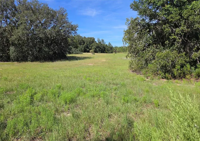 Photo 3 of Land for sale at 6360 S Georgian Rd, Homosassa, FL 34446 | MLS# OM732964 | Listing updated on 2026-09-28
