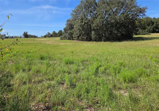 Photo 4 of Land for sale at 6360 S Georgian Rd, Homosassa, FL 34446 | MLS# OM732964 | Listing updated on 2026-09-28
