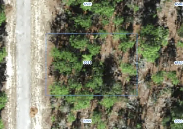 Photo 1 of Land for sale at 6581 N Winlock Ter, Dunnellon, FL 34433 | MLS# A4707600 | Listing updated on 2026-09-28