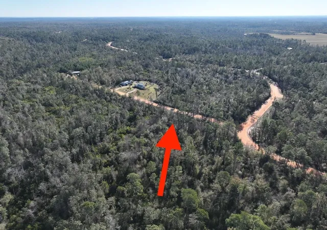 Photo 3 of Land for sale at Bienville Ct, Alford, FL 32420 | MLS# O6445237 | Listing updated on 2026-09-28