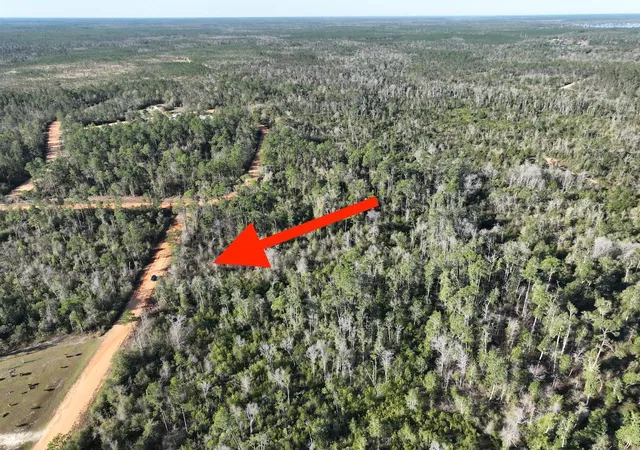 Photo 3 of Land for sale at Bienville Ct, Alford, FL 32420 | MLS# O6445237 | Listing updated on 2026-09-28