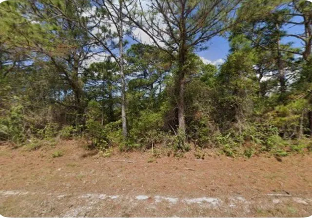 Photo 2 of Land for sale at 7383 Talley St, Port Charlotte, FL 33981 | MLS# S5158402 | Listing updated on 2026-10-01