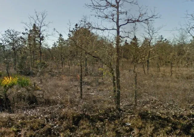 Photo 2 of Land for sale at SE 23rd Place, Morriston, FL 32668 | MLS# A4707645 | Listing updated on 2026-09-28
