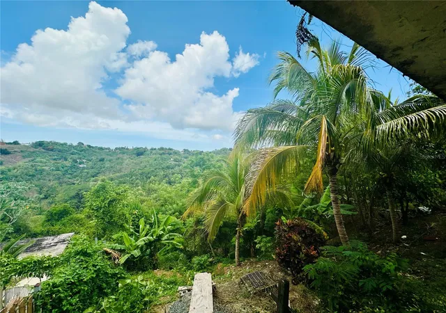 Photo 3 of Single family home for sale at Sr 185 Km 44 Lomas Del Viento, Canovanas, PR 00729 | MLS# PR9124523 | Listing updated on 2026-10-06