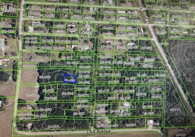 Photo 4 of Land for sale at 18357 20th Avenue, Orlando, FL 32833 | MLS# O6445332 | Listing updated on 2026-09-29