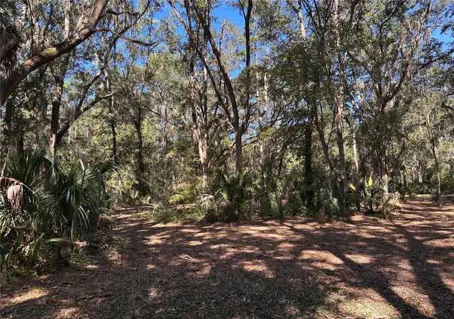 Land for sale at 11660 NE 225th Street, FORT MC COY, FL 32134 | MLS# OM733000