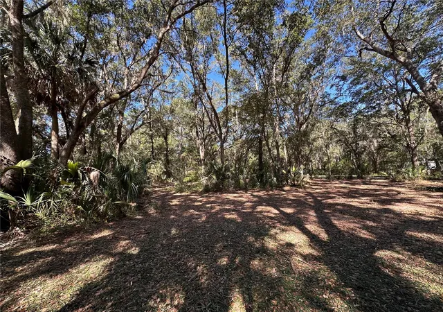 Photo 2 of Land for sale at 11660 NE 225th Street, Fort Mc Coy, FL 32134 | MLS# OM733000 | Listing updated on 2026-09-29