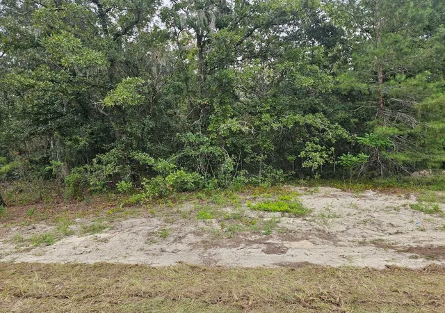 Photo 2 of Land for sale at Tba Se 56th Court, Ocala, FL 34473 | MLS# OM733002 | Listing updated on 2026-10-07