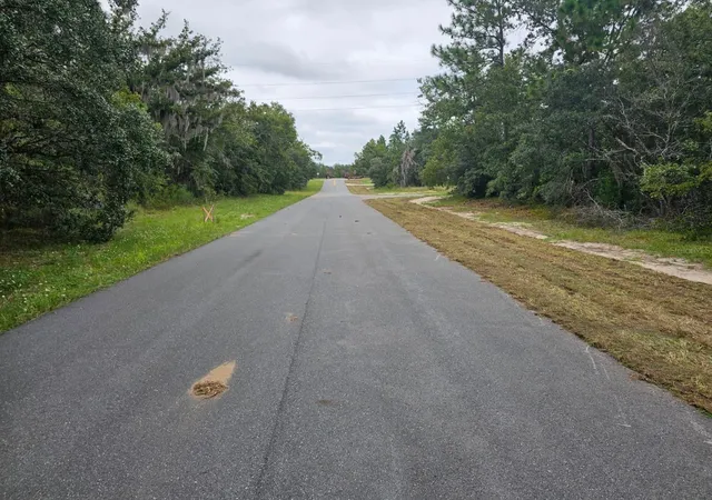 Photo 3 of Land for sale at Tba SE 56th Court, Ocala, FL 34473 | MLS# OM733002 | Listing updated on 2026-10-07