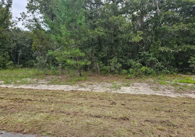 Photo 4 of Land for sale at Tba SE 56th Court, Ocala, FL 34473 | MLS# OM733002 | Listing updated on 2026-10-07