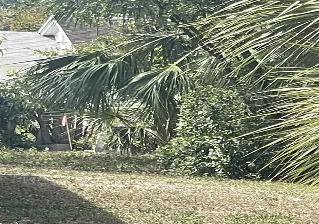 Photo 3 of Land for sale at Jungle Way, Sarasota, FL 34243 | MLS# A4707692 | Listing updated on 2026-10-07