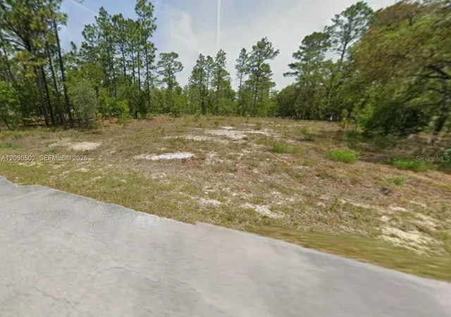 Photo 1 of Land for sale at 00 Nw Geranium Ave, Dunnellon, FL 34431 | MLS# TB8552858 | Listing updated on 2026-09-30