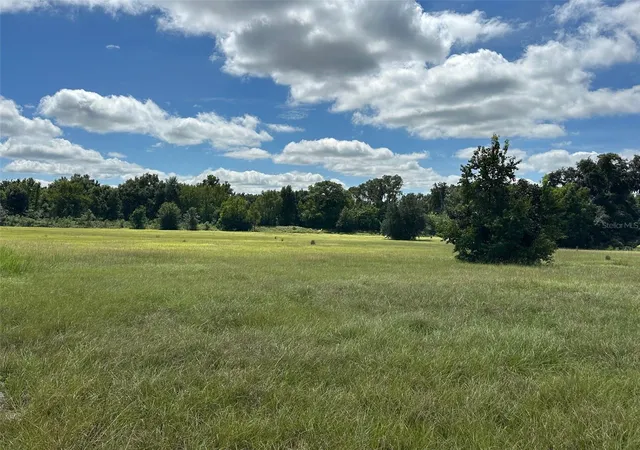 Photo 3 of Land for sale at 0 SE 116 Place, Ocala, FL 34480 | MLS# OM733009 | Listing updated on 2026-09-29