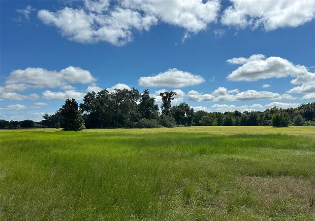 Photo 4 of Land for sale at 0 SE 116 Place, Ocala, FL 34480 | MLS# OM733009 | Listing updated on 2026-09-29