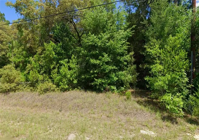 Photo 3 of Sale Pending at Tbd Sw Audubon Ave, Dunnellon, FL 34431 | MLS# OM733014 | Listing updated on 2026-10-05