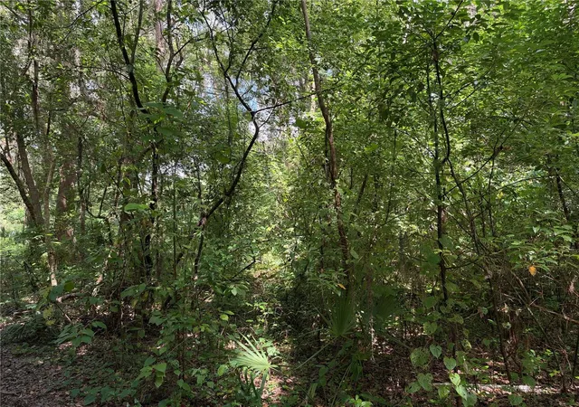 Land for sale at 0 Southeast 118th Pl, BELLEVIEW, FL 34420 | MLS# G5118371