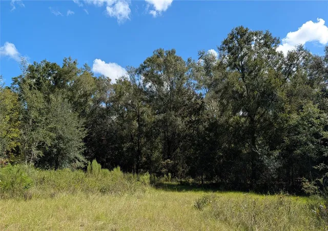 Photo 3 of Land for sale at Lot Ne 3 48th Court, High Springs, FL 32643 | MLS# GC543840 | Listing updated on 2026-10-01