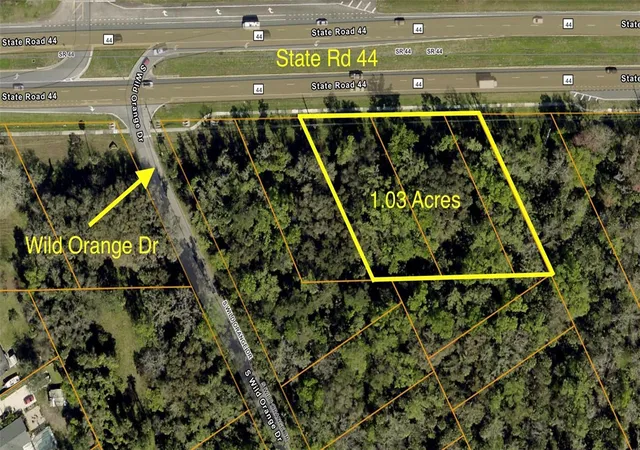 Land for sale at 0 State Rd 44, NEW SMYRNA BEACH, FL 32168 | MLS# NS1089375