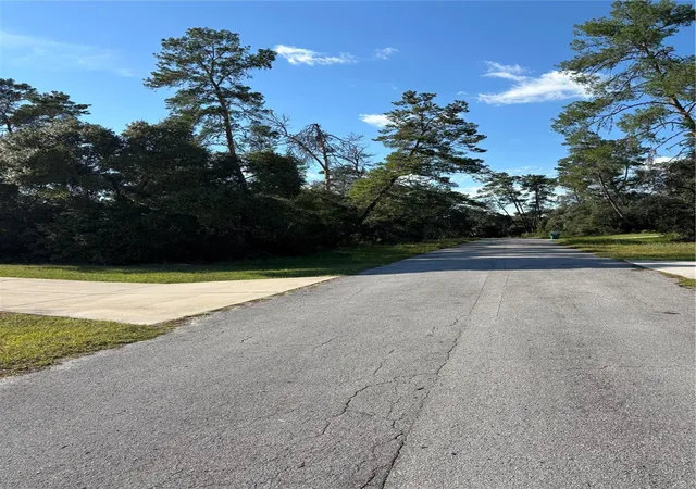 Photo 1 of Land for sale at 0 Sw 171st Street, Ocala, FL 34473 | MLS# OM733039 | Listing updated on 2026-09-30