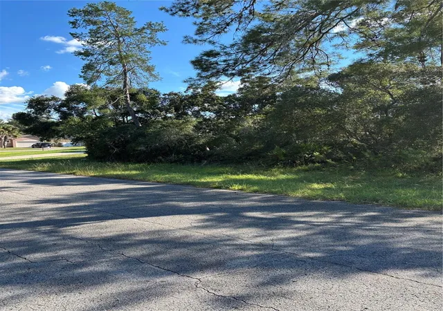 Photo 2 of Land for sale at 0 Sw 171st Street, Ocala, FL 34473 | MLS# OM733039 | Listing updated on 2026-09-30